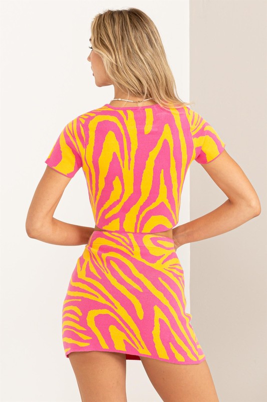 Set zebra